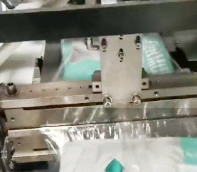 全自動包裝機包裝貓糧作業現場